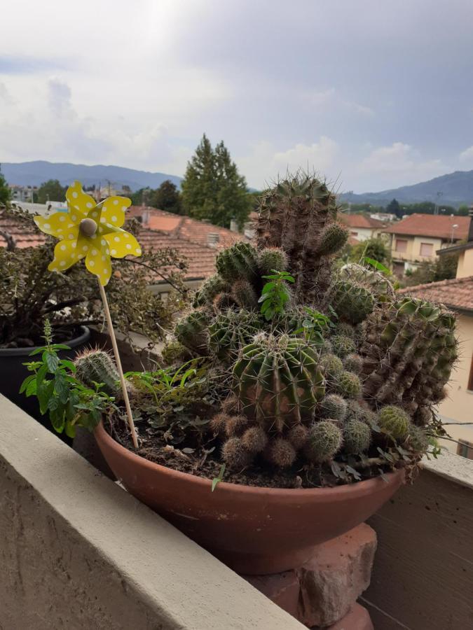 Locazione Turistica Chichibio Apartment Pistoia Exterior photo